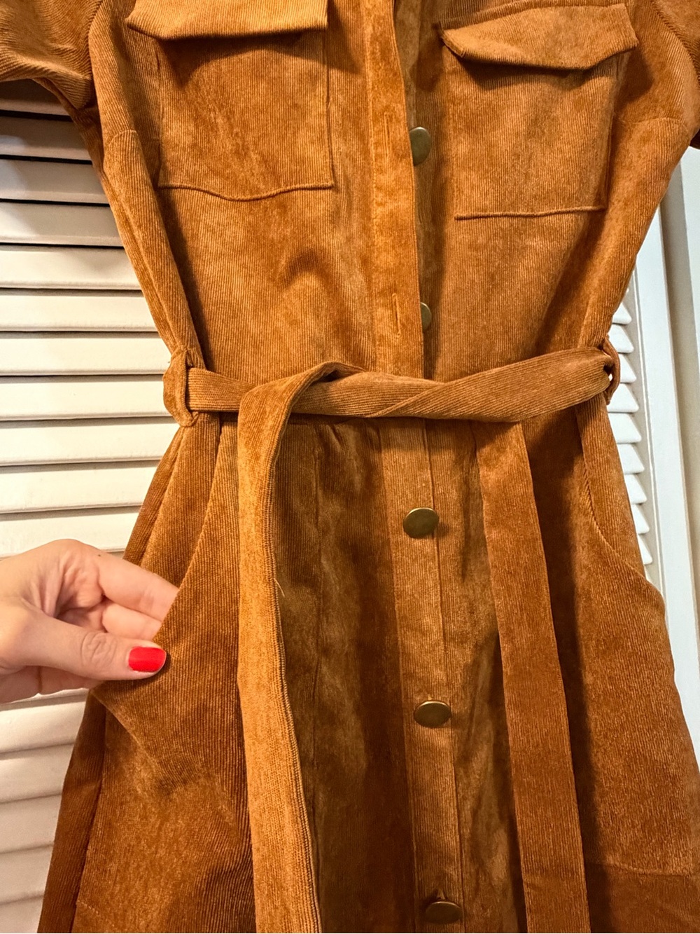 Monteau Short-Sleeve Button-Front Belted Dress in Burnt Orange - Picture 2 of 3